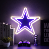 Dallas Cowboys neon signs