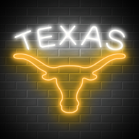 TEXAS Neon Signs